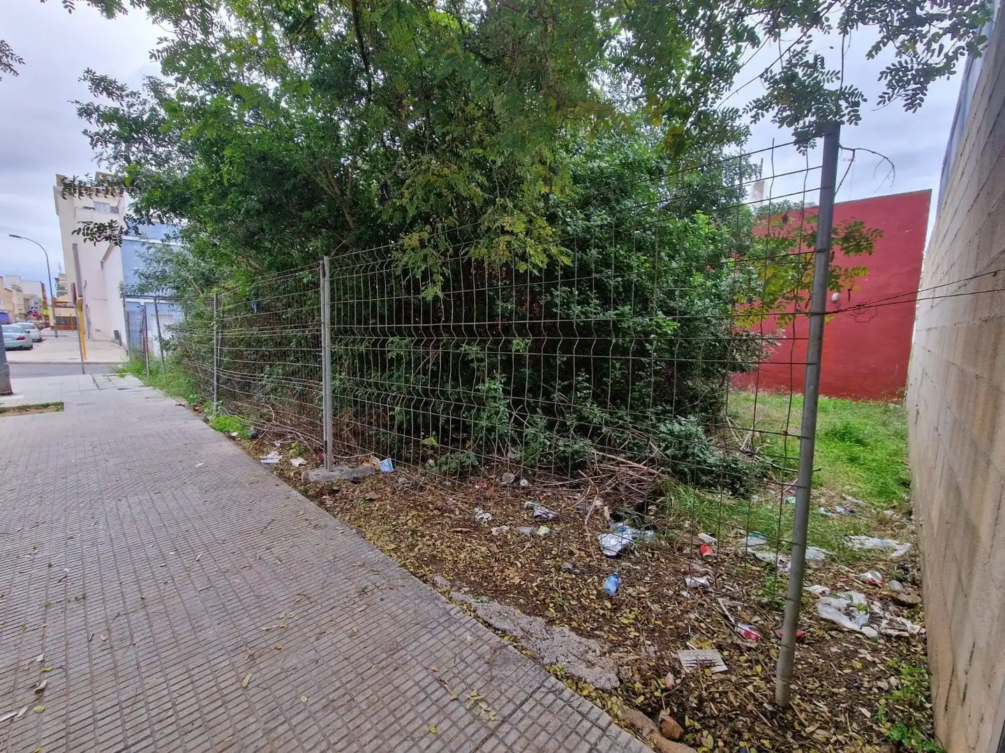 Terrenys i solars en venda a Carcaixent, imagen 2