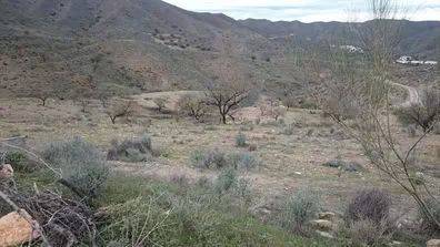 Terreno en Venta en Cantoria