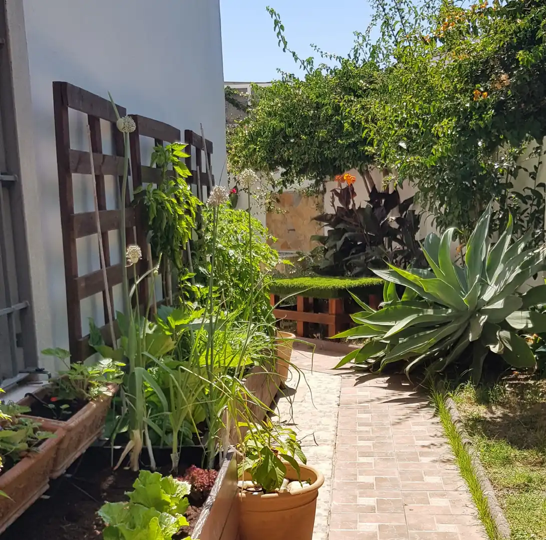 Home with terrace for sale in Estepona Pueblo, imagen 22