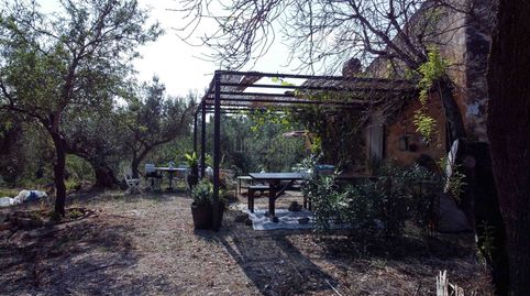 Foto 4 de Finca rústica en venda a Roquetes, Tarragona
