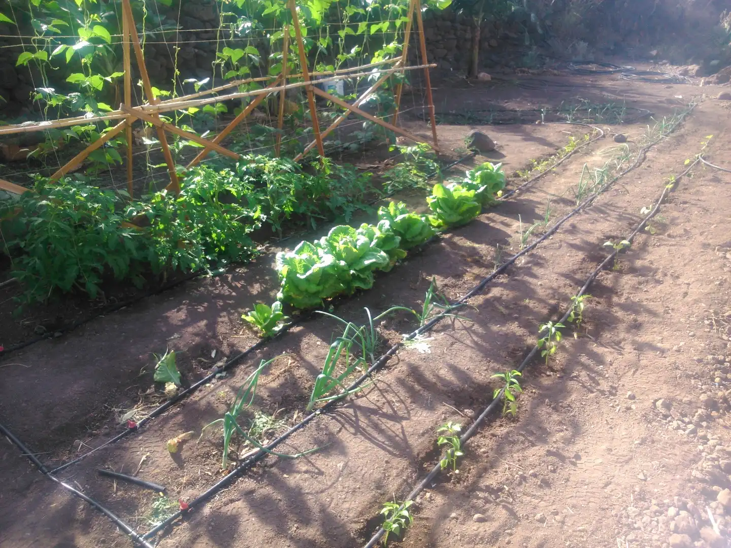 Jardín de Terreno en venta en Cidamón