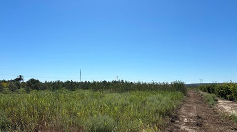 Foto 4 de Terreny en venda a La Foia - Daimés - Asprella, Elche / Elx