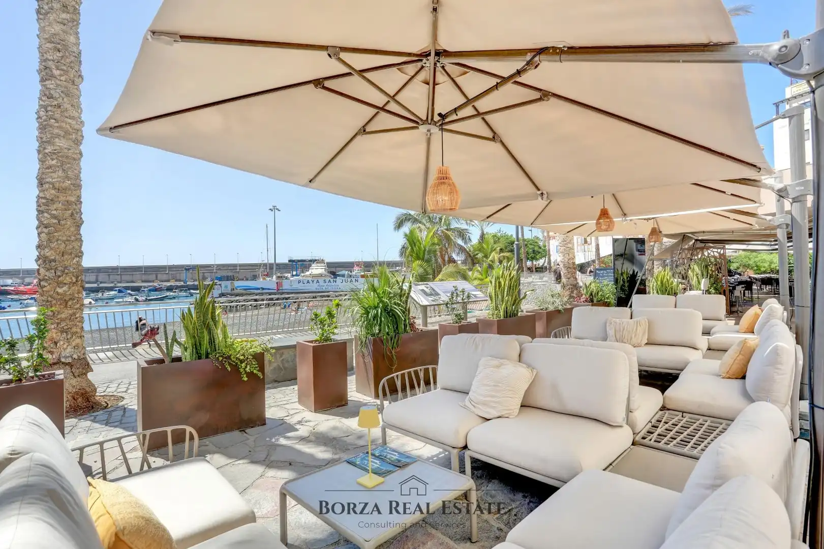 Local commercial à louer à Paseo Marítimo Playa San Juan s/n, imagen 22