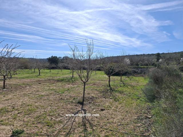 Terreno en Venta en Calle Industria, 2 en Fabara