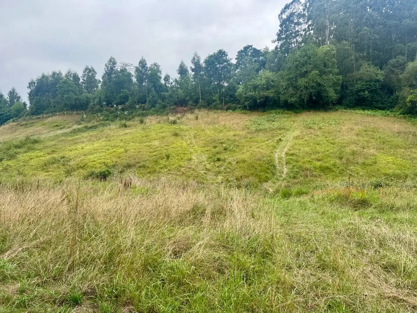 Terreno en venta en Villaviciosa