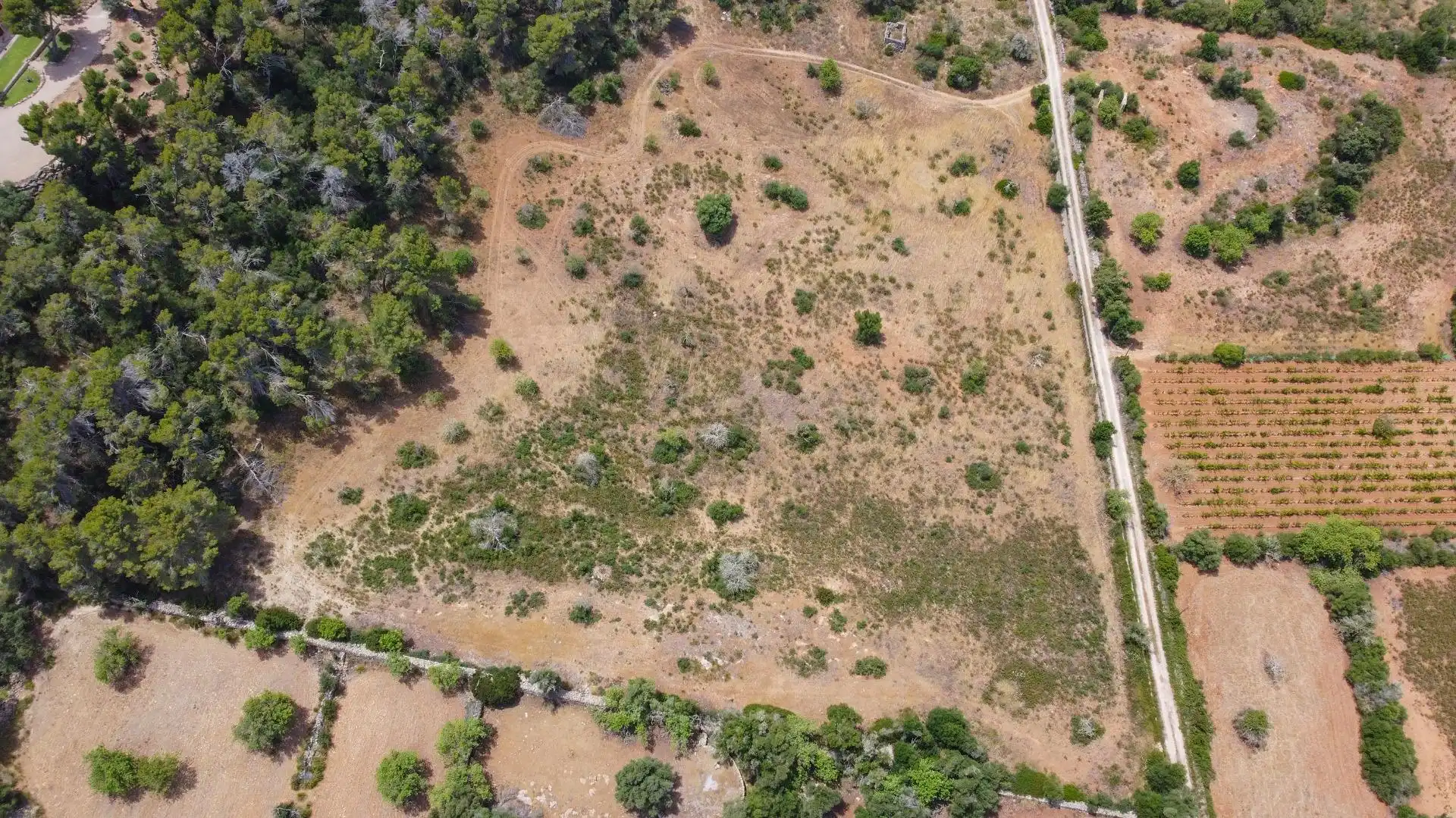 Lands and plots for sale in Felanitx Poble, imagen 9