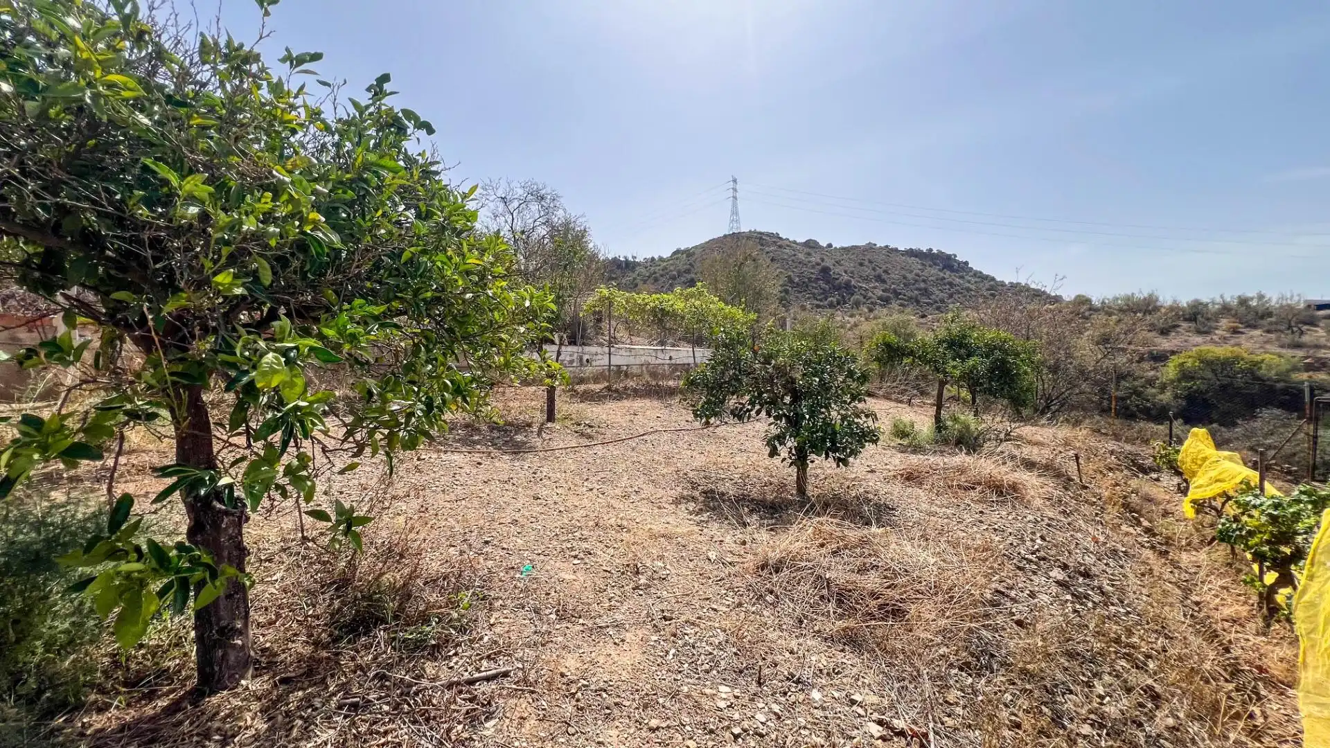 Houses for sale in Campanillas