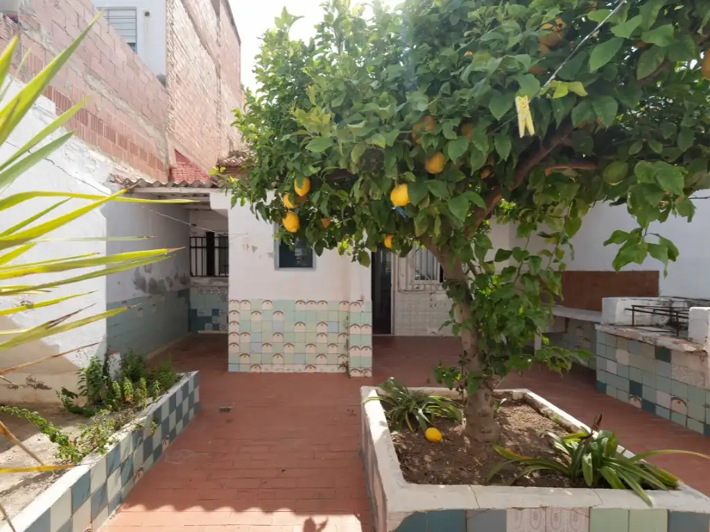 Garden of Houses for sale in Moncada