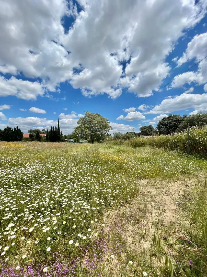 Grundstücke und Bauplätze zum Verkauf in Castilblanco de los Arroyos, imagen 3