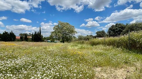 Gran oportunidad! Venta de Parcela Rústica en Castiblanco de los arroyos, Sevilla., imatge 3
