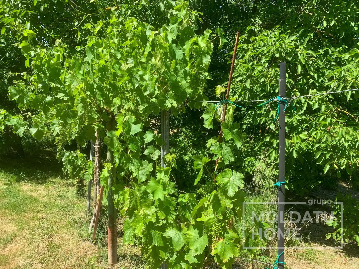 Terreno en venta en Belascoáin