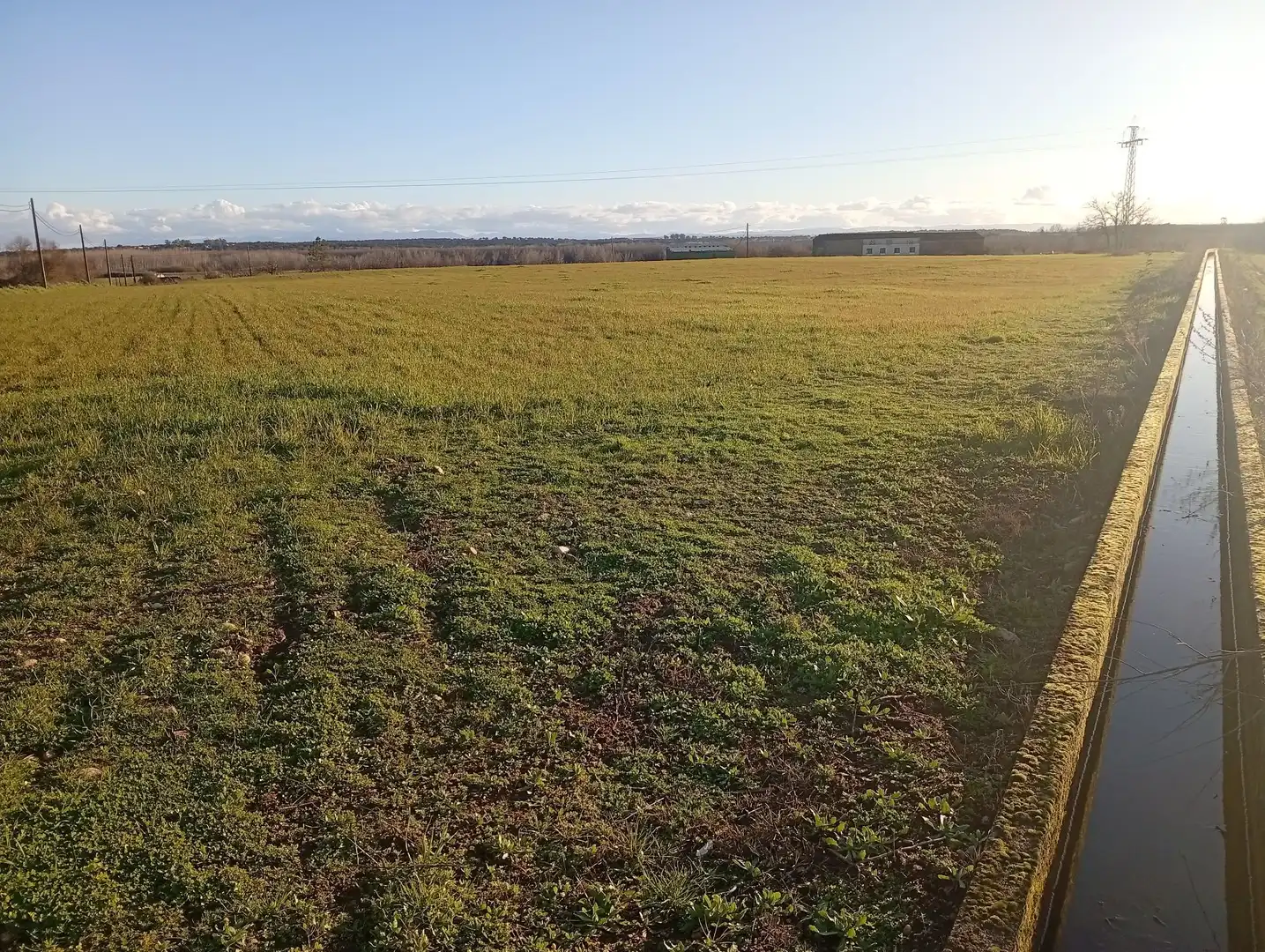 Land for sale in Losar de la Vera