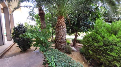 Photo 3 of Apartment for sale in Goteta, Alicante