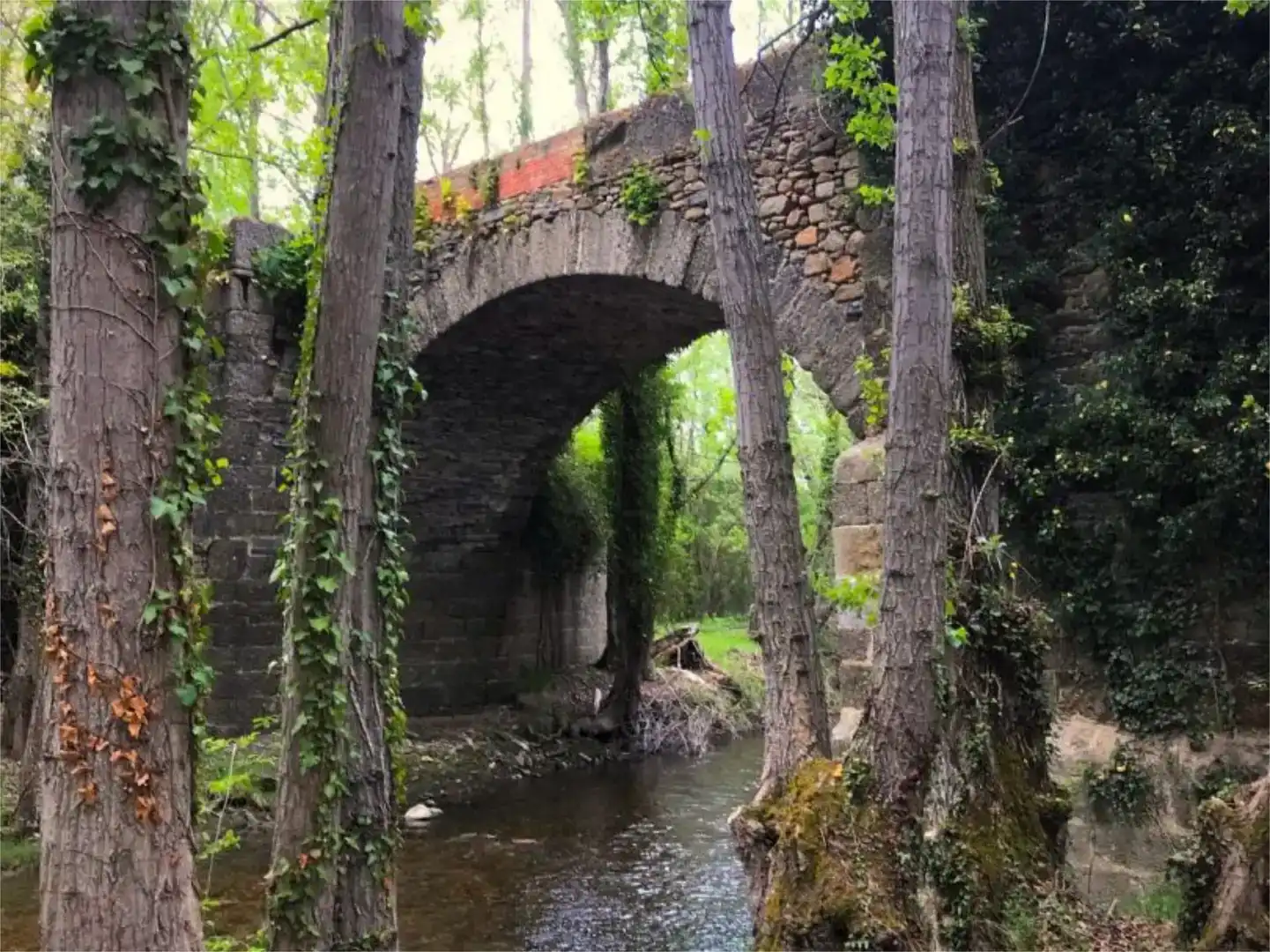 Vista exterior de Casa o xalet en venda en Villar del Río amb Jardí privat, Parquet i Moblat