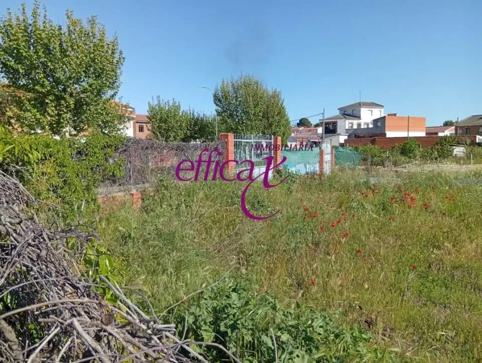 Rural land for sale in La Puebla de Montalbán, imagen 6