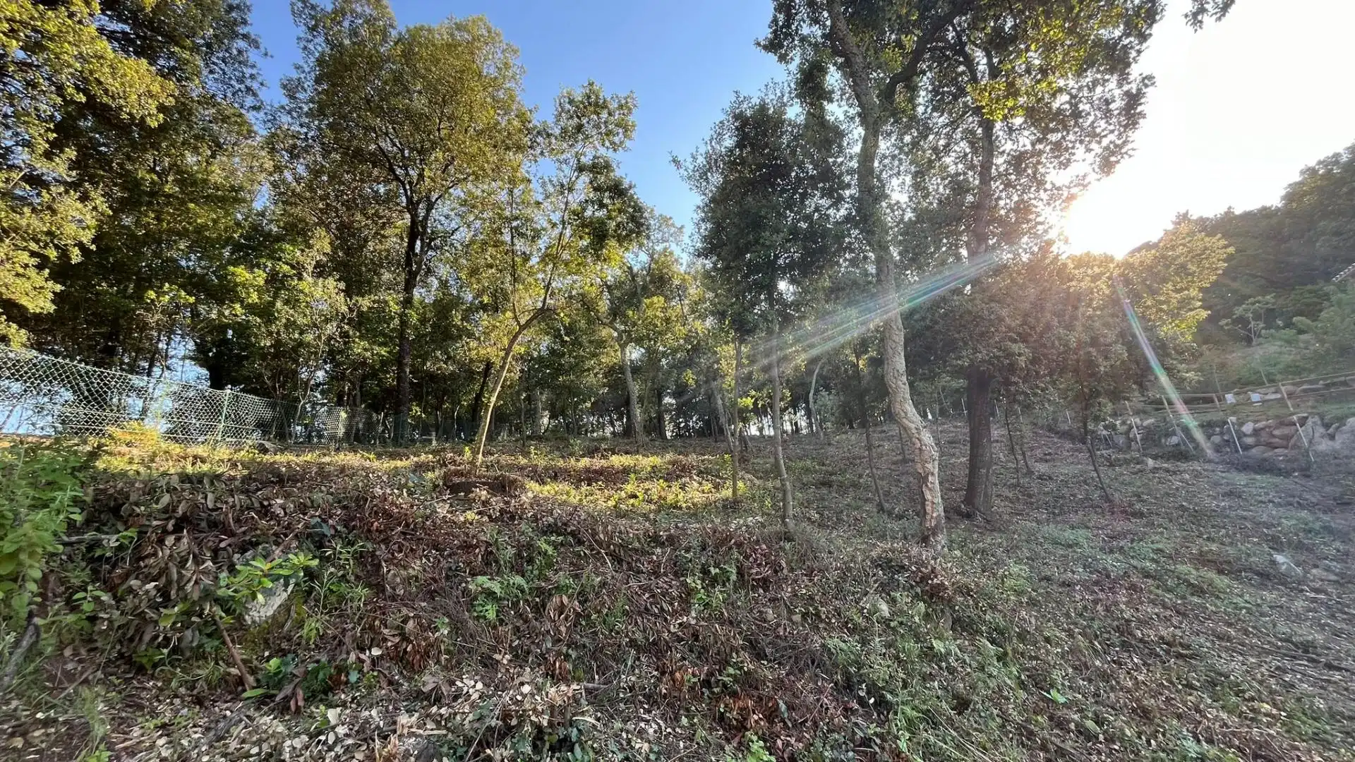 Terreno residenziale in vendita a Riells i Viabrea, imagen 2