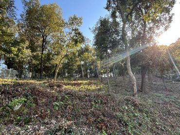 Terreno residencial en venta en Riells i Viabrea
