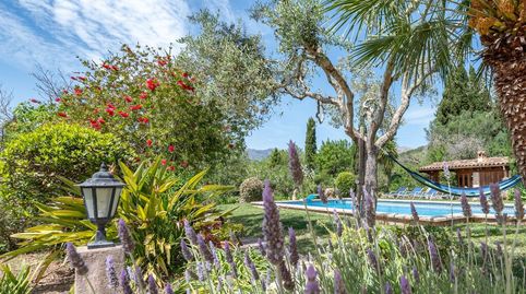 Encantadora finca rústica con piscina en venta en Pollensa, al norte de Mallorca, imagen 3
