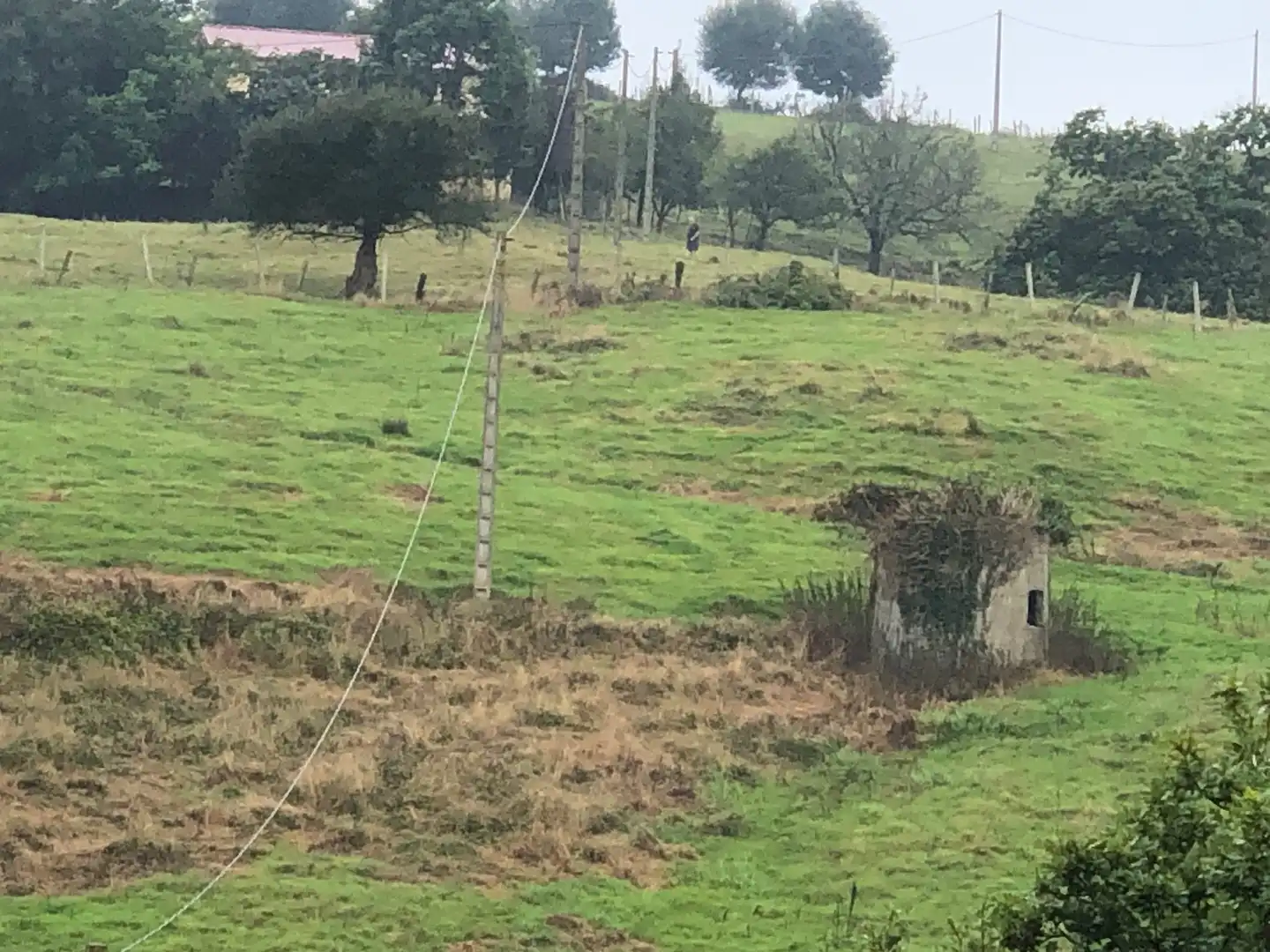 Casa o chalet en venta en Piélagos