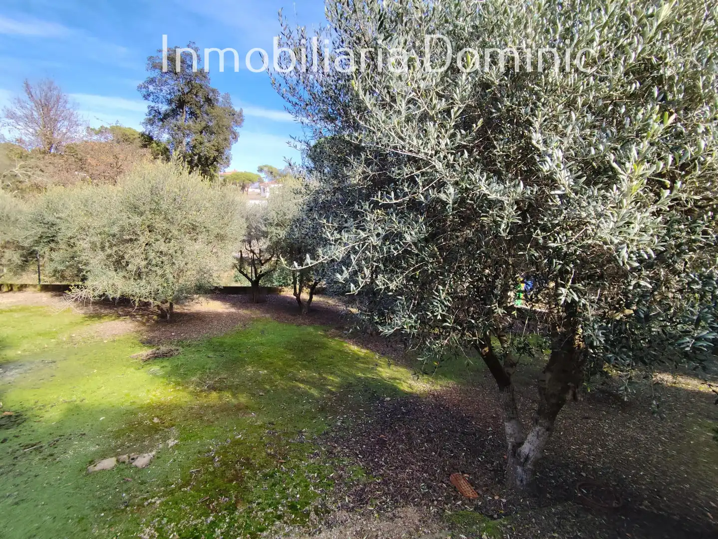 Villa avec jardin à vendre à Carrer Gavarres, imagen 43