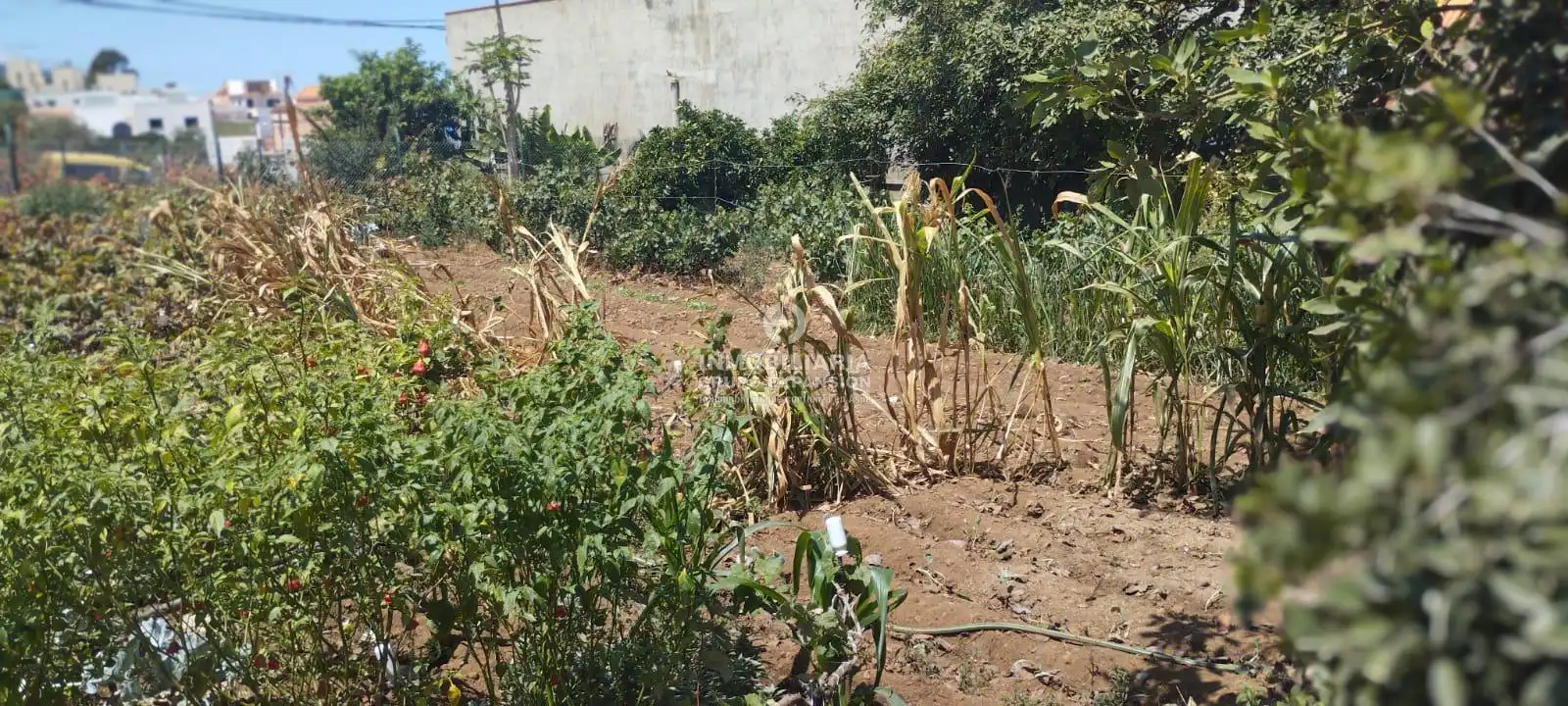 Casa o xalet en venda en La Orotava amb Terrassa i Traster
