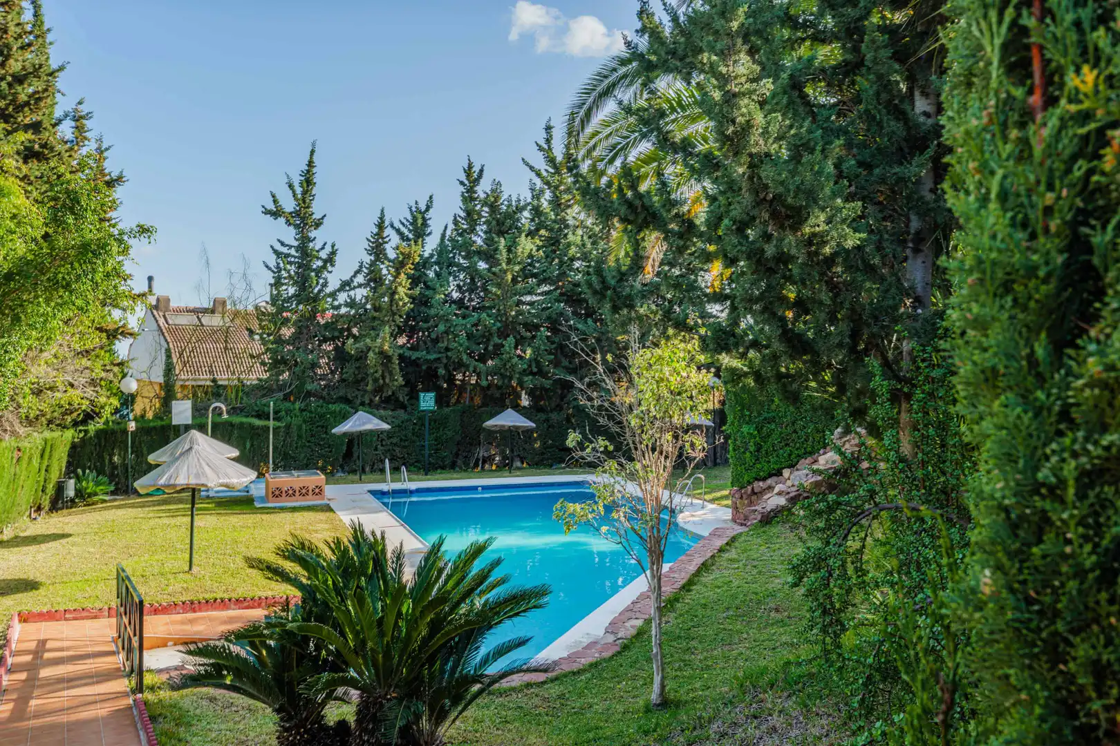 Attique avec piscine à vendre à Este, imagen 4