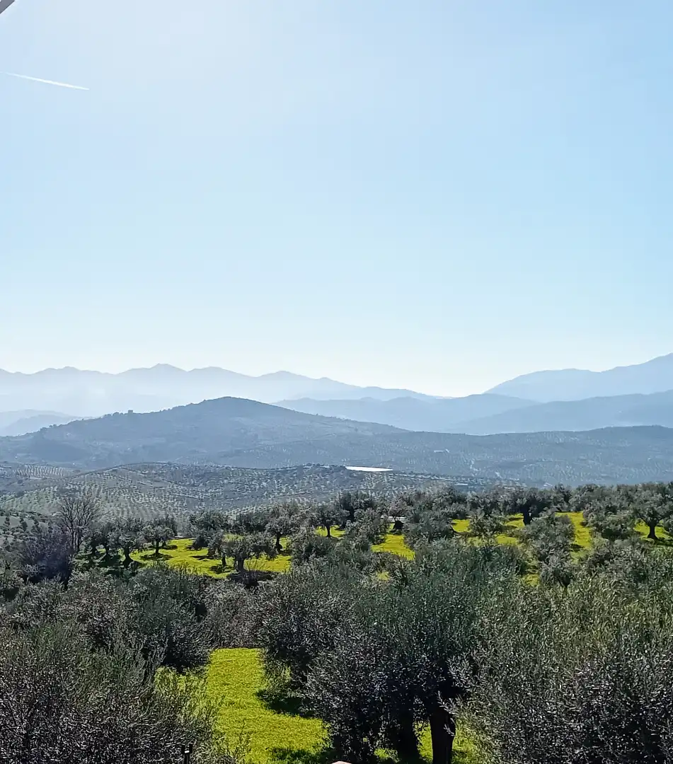 Villa mit Terrasse zum Verkauf in Urbanizacion la Pasadilla, imagen 40