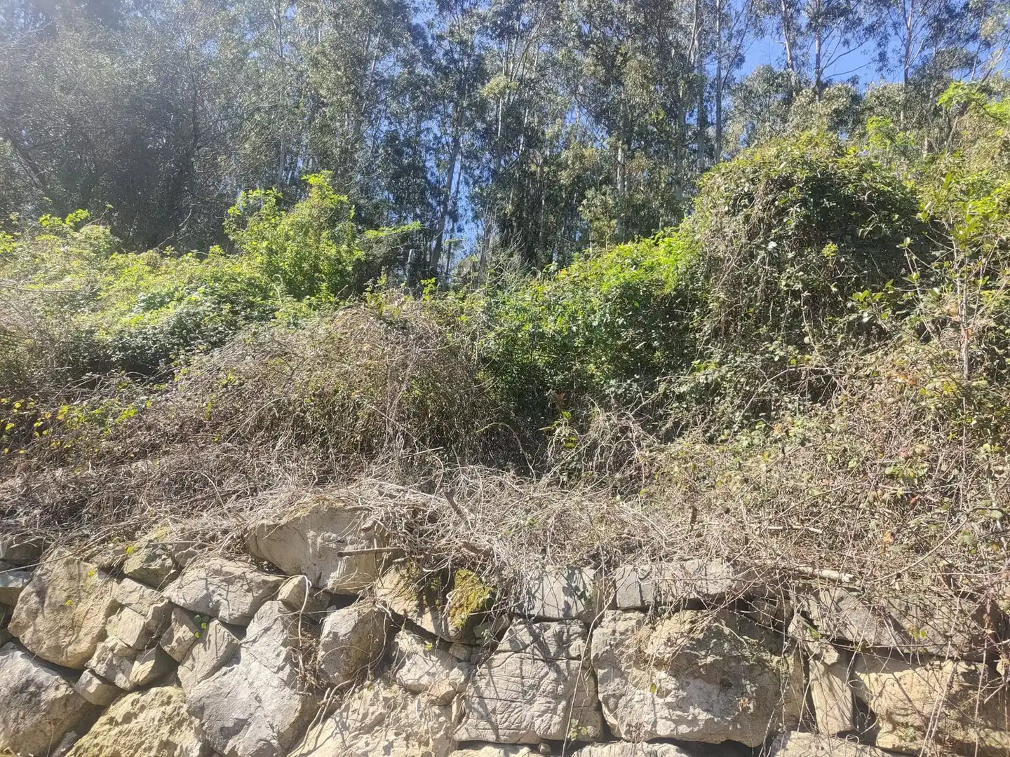 Residencial en venta en Gijón 