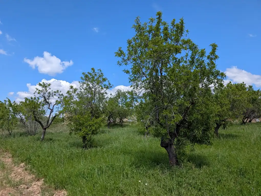 Finca rústica en venta en Monroyo con Jardín privado