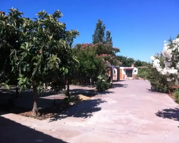 Finca rústica en venda a El Higuerón
