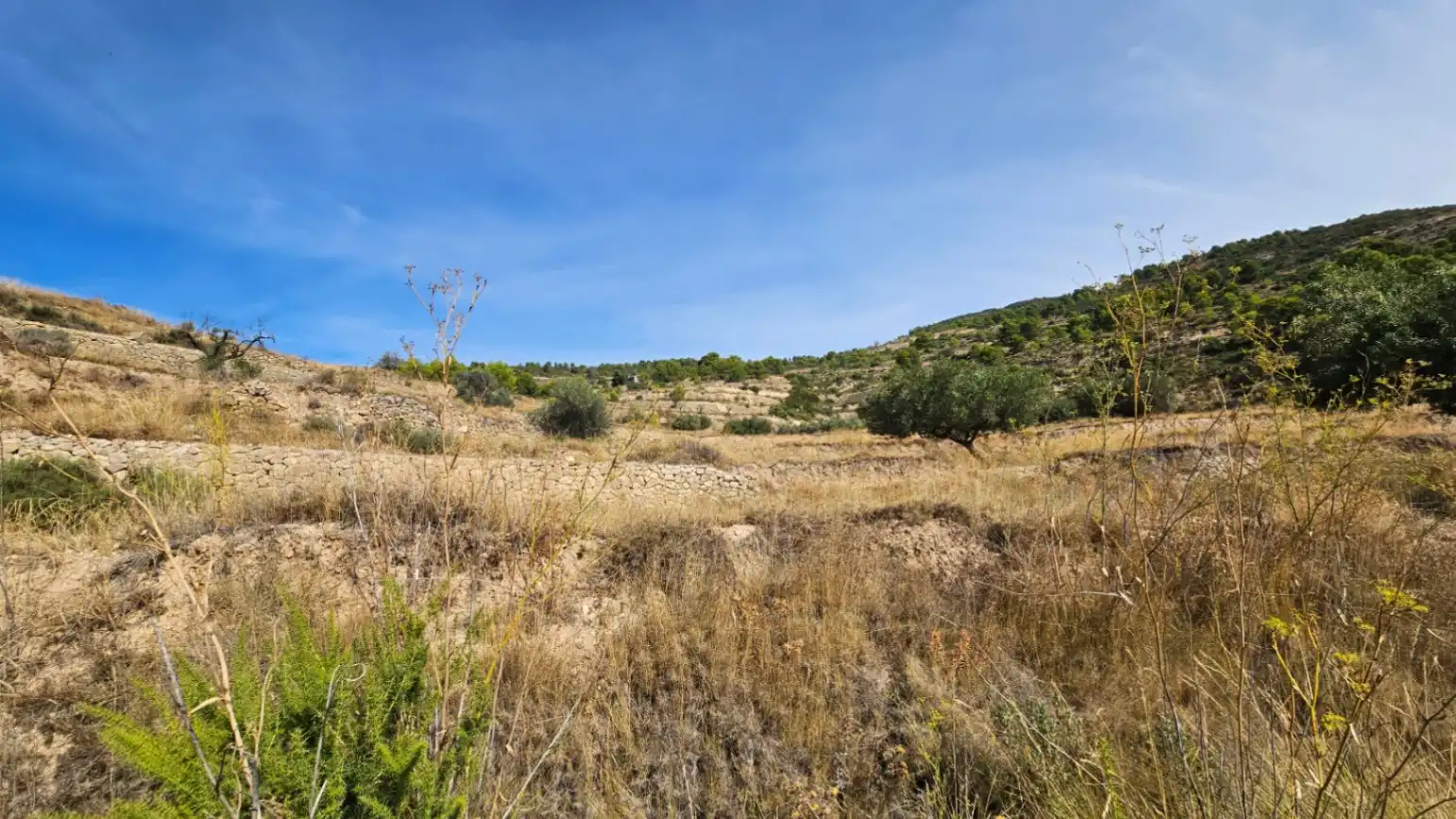 Terreny residencial en venda a Jijona / Xixona, imagen 15