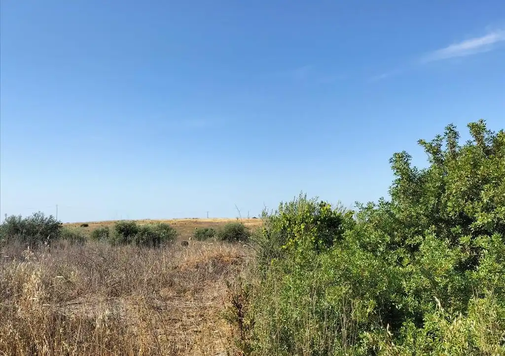 Terreni e lotti in vendita a Carretera de Palomares, imagen 19