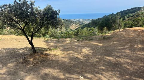 Foto 3 de Terreny en venda a Sierra de Estepona - Avda. de Andalucía, Estepona
