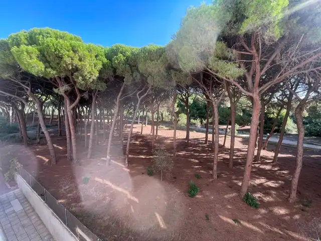 Flat with pool for sale in Avinguda de la Diputació, imagen 5