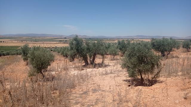 Terreno en Venta en Carrión de Calatrava