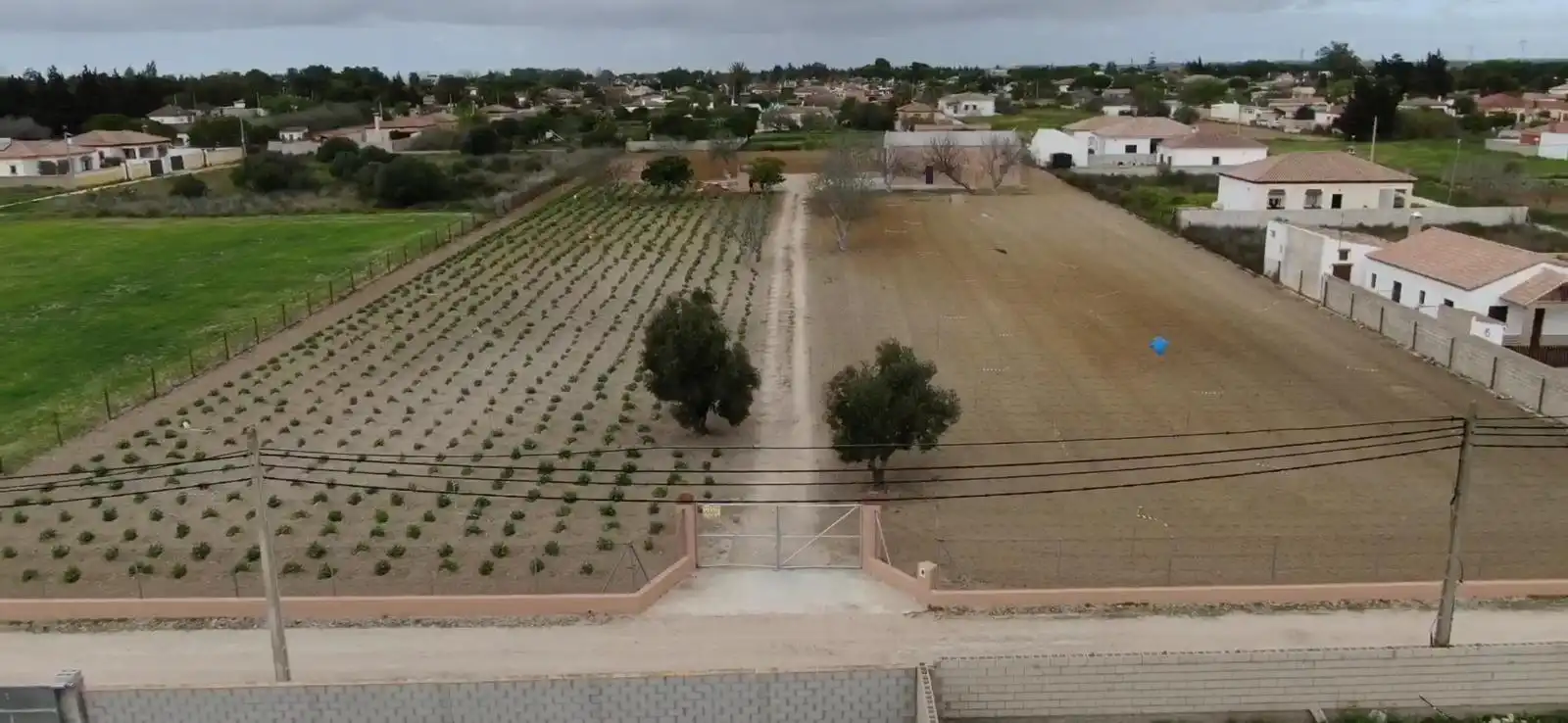 Nave industrielle à vendre à Pelagatos - Pago del Humo, imagen 6