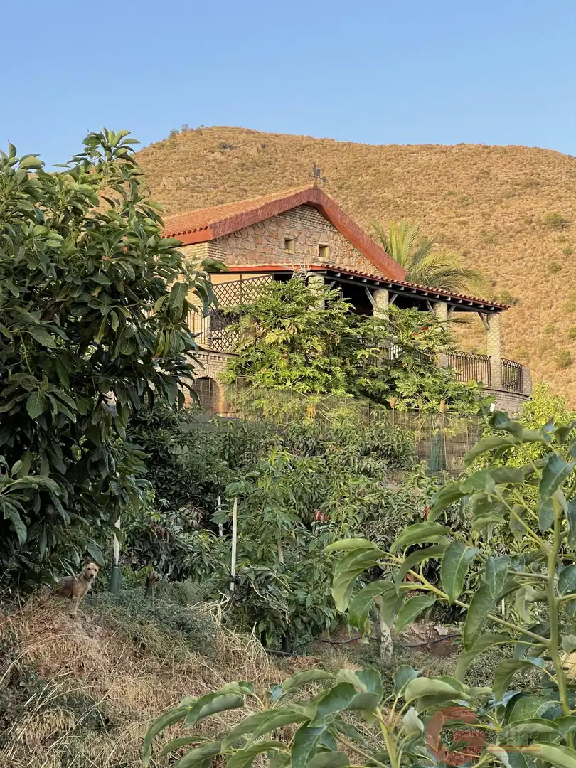 Vista exterior de Finca rústica en venta en Salobreña con Terraza y Piscina