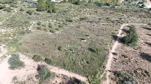 Se vende parcela rústica de 3.600 m2 en Camp de Llíria