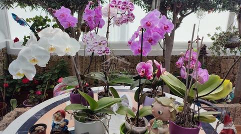 Foto 5 de Casa adosada en venda a Playa de las Américas, Santa Cruz de Tenerife