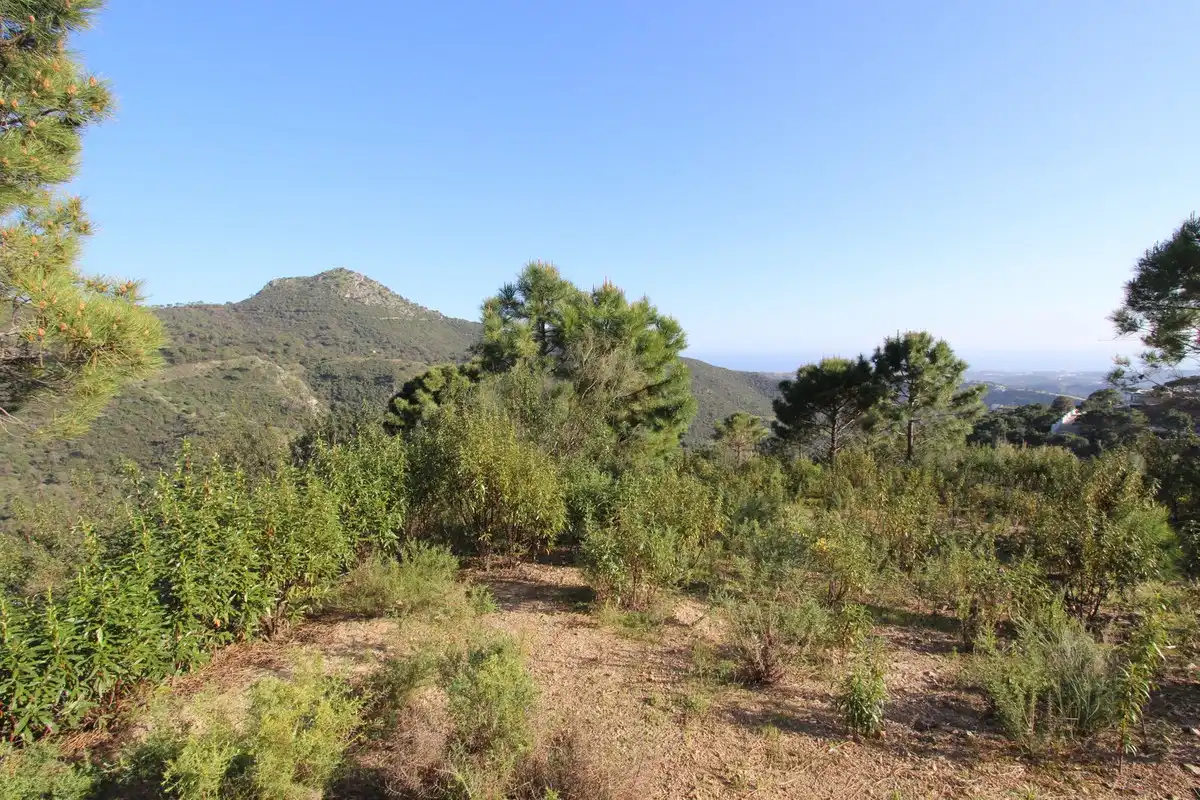 Terrenys i solars en venda a Montemayor - Marbella Club, imagen 14