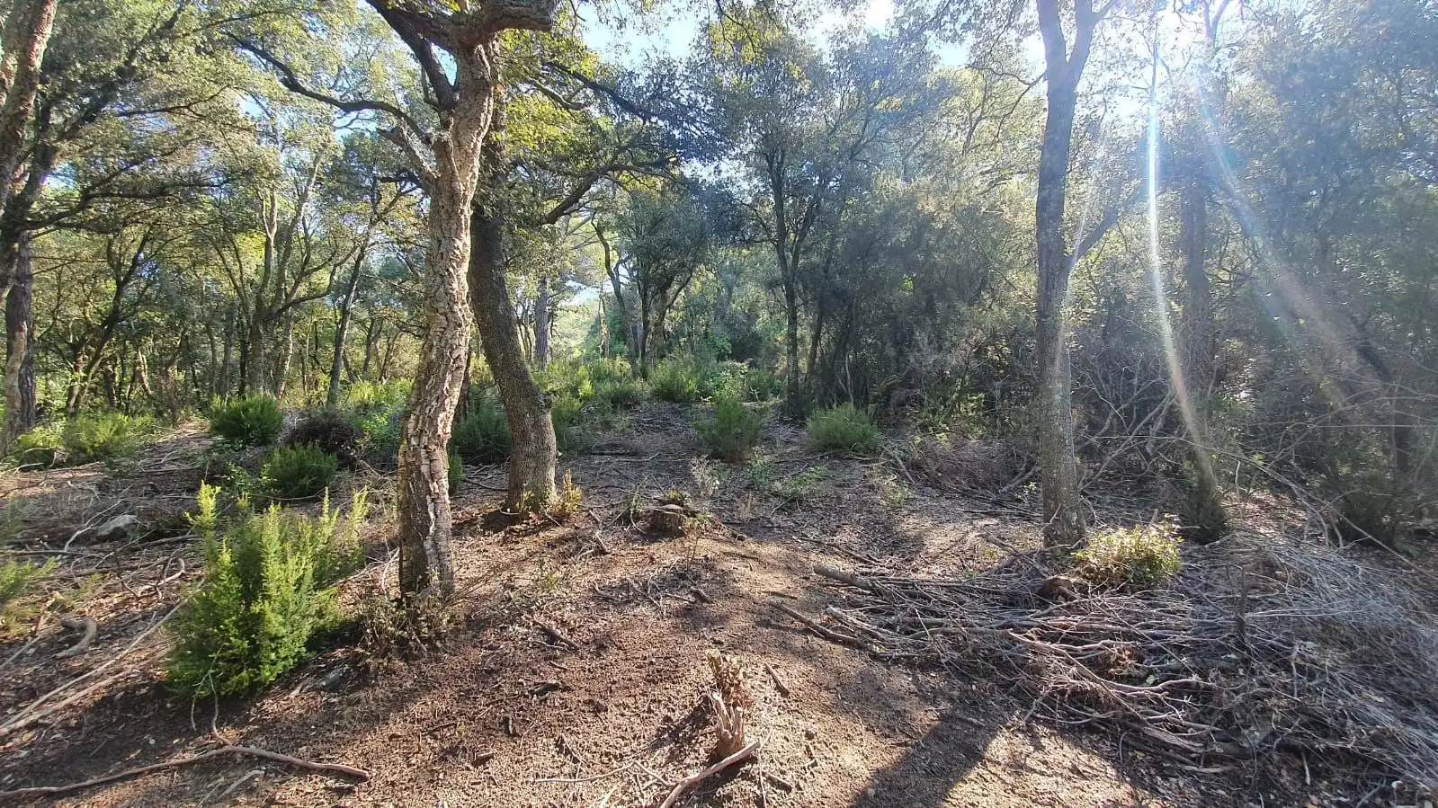 Grundstücke zum Verkauf in Sant Celoni