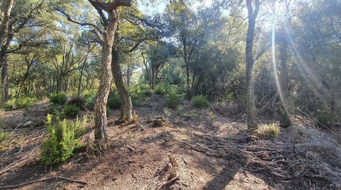 Foto 4 von Grundstücke zum Verkauf in Sant Celoni, Barcelona