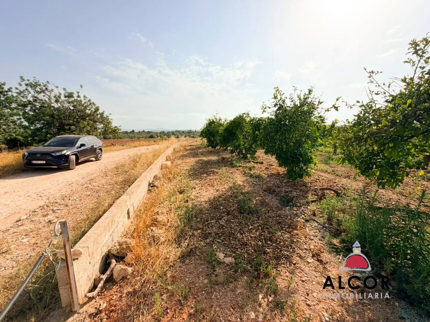 Terrenos y solares en venta en Pueblo, imagen 2