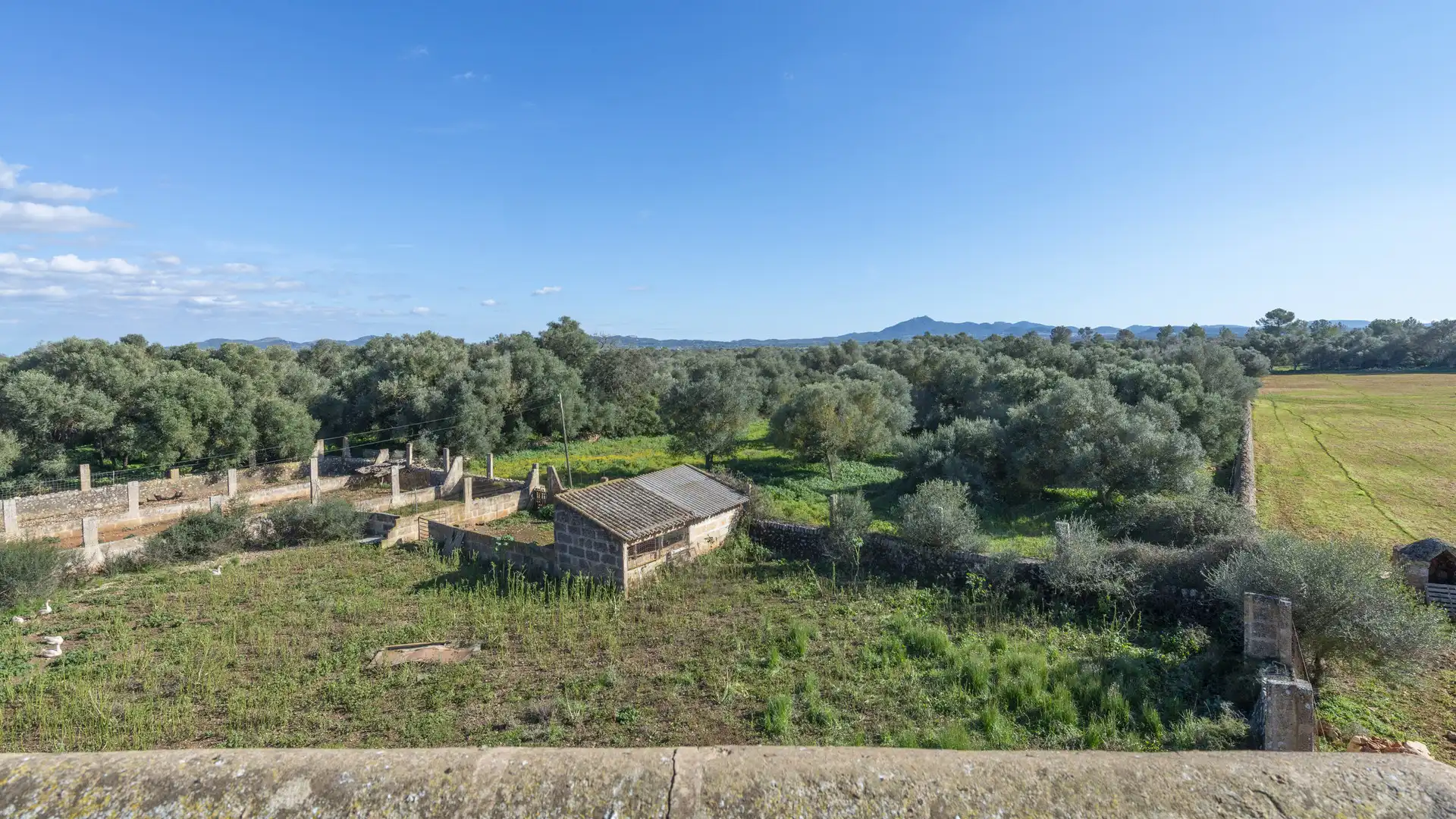 Finca rústica en venta en Vilafranca de Bonany con Terraza, Trastero y Balcón