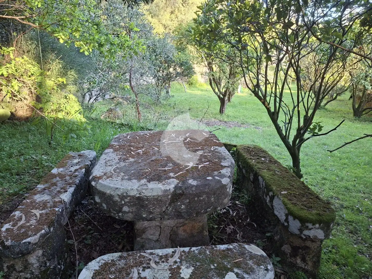 Jardín de Casa o chalet en venta en A Guarda   con Jardín privado