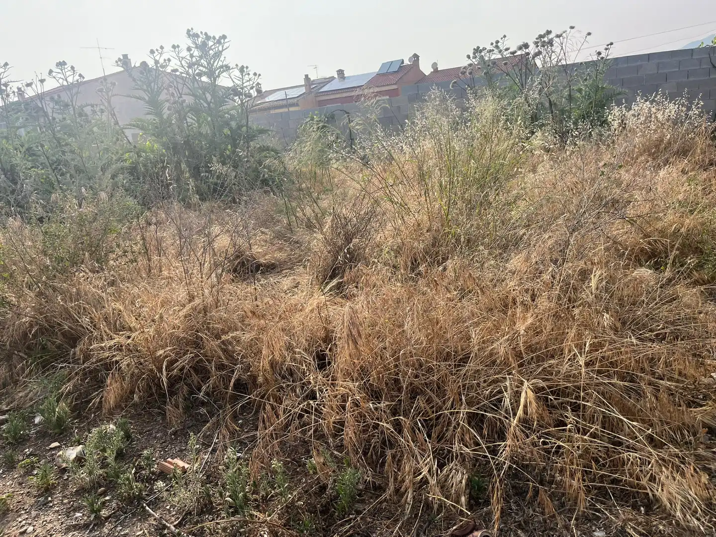 Rural land for sale in Calle Verano, imagen 5
