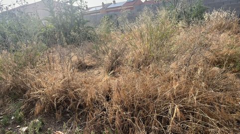 FINCA RUSTICA EN DURCAL, immagine 5