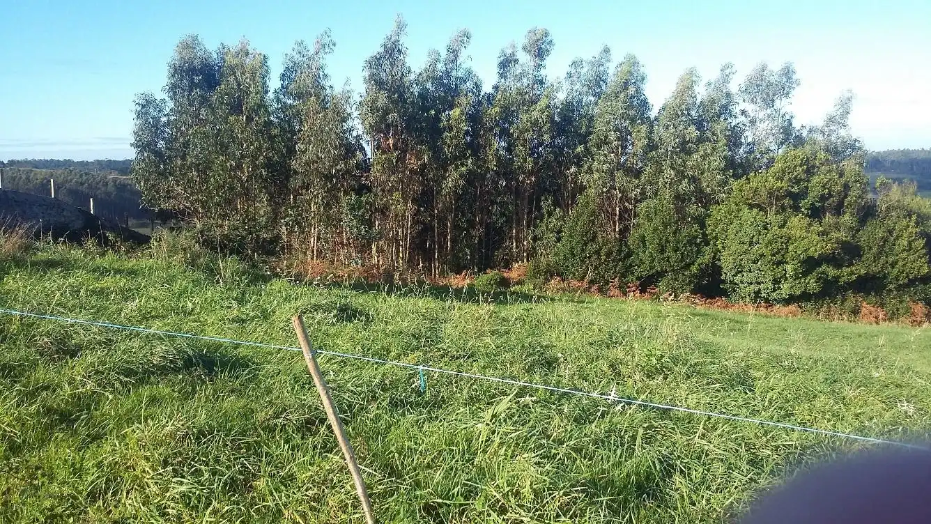 Terreni e lotti in vendita a Malpica de Bergantiños, imagen 2