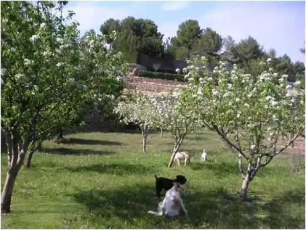 Finca rústica en venta en Albinyana