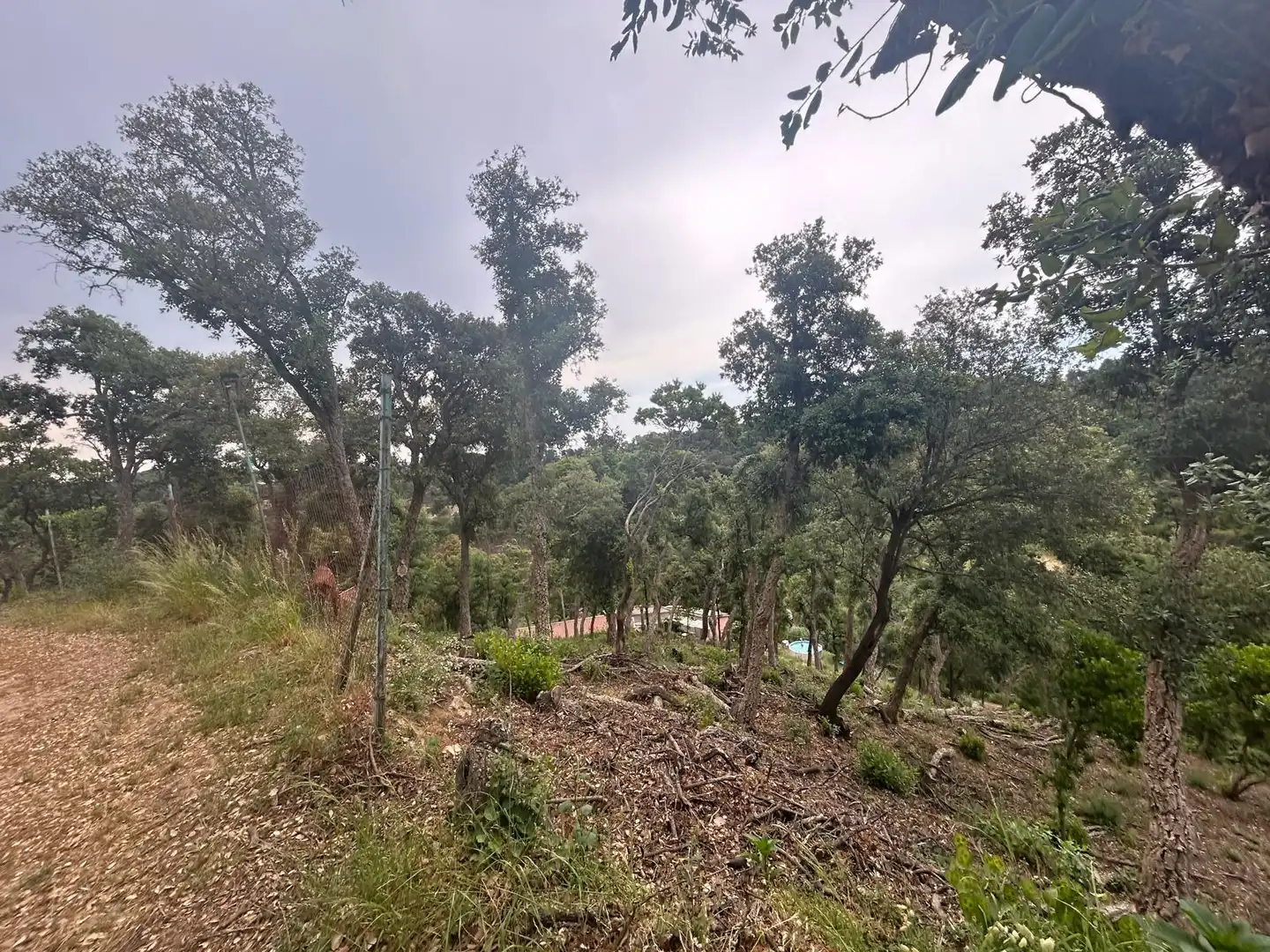 Terreny rústic en venda a Avinguda Sant Llop 46